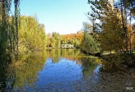 Репино - 29
