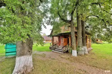 Сафари Парк - 21