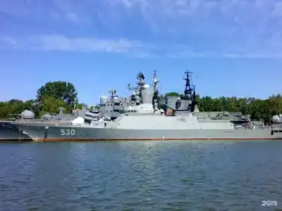 Золотая Орхидея - 14
