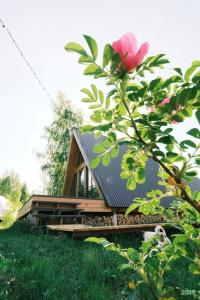 Sviyaga Glamp - 23