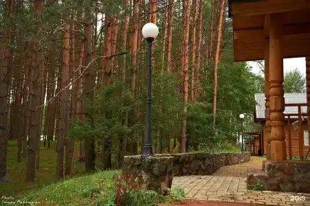 Борвиха - 33