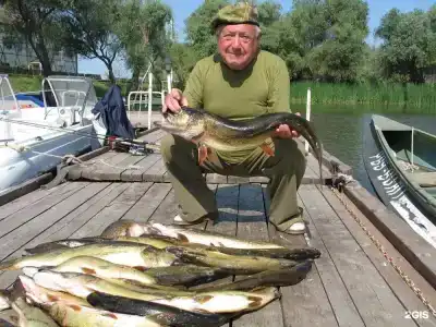 Найт Флайт Дельта - 40