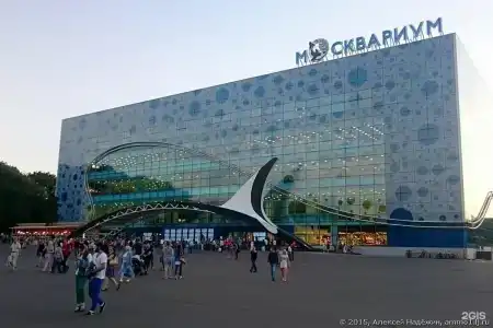 Звездная - 42