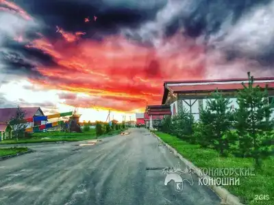 Загородный отель Konakoff в Сажино - 20