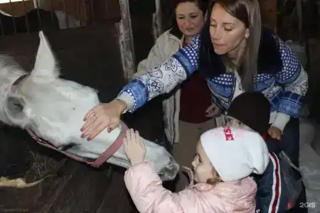 Дельфин - 121