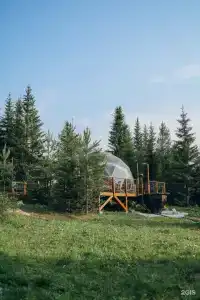 ЛадаГлэмп - 40