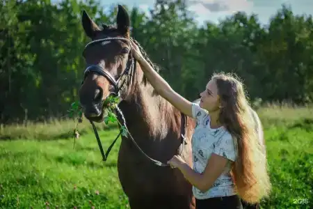 Легенда - 13