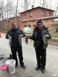 Золотая рыбка - 157
