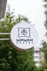 Шишки - 54