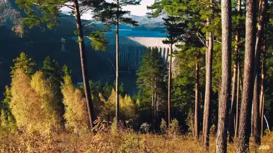 Борус - 24