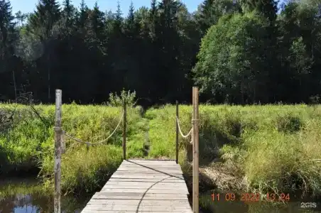 Черный ручей - 20