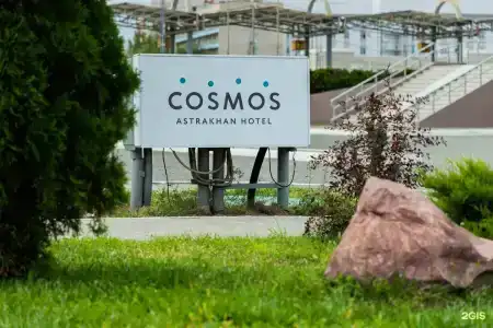 Cosmos - 44