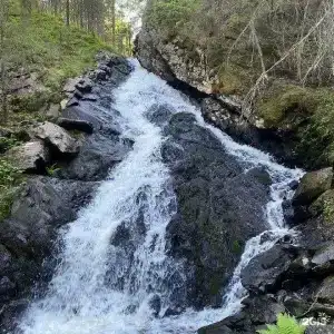 RiverBank - 45