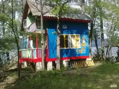 Чайка - 19