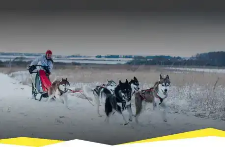 Белая Цапля - 38