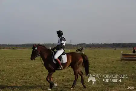 Загородный отель Konakoff в Сажино - 103