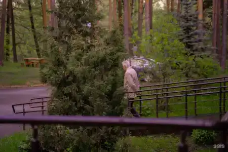 Русский лес - 56