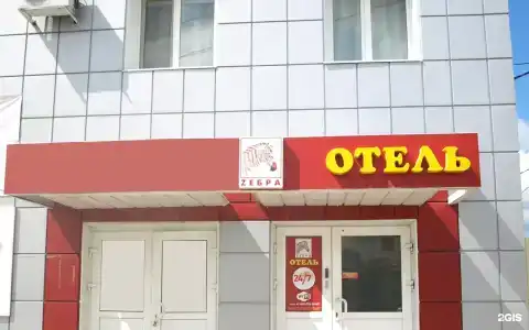 Зебра - 18