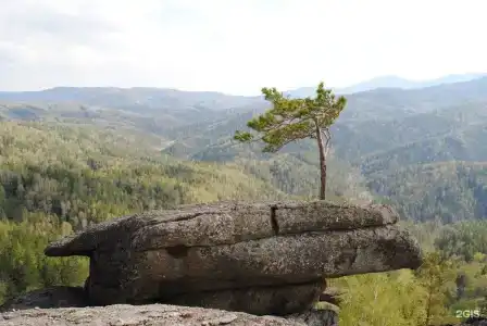 Эдем - 43