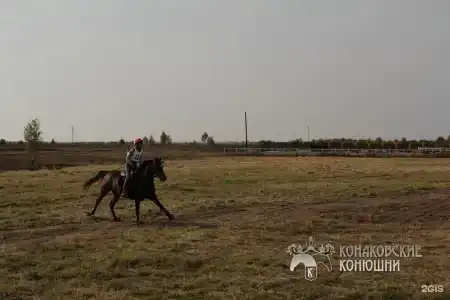 Загородный отель Konakoff в Сажино - 135
