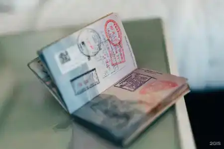 Галерея - 107
