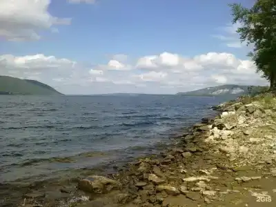 Чайка - 10