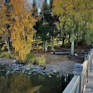 Кружево - 25