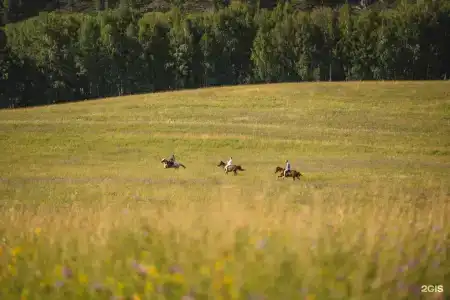 Алтай Пэлас - 62