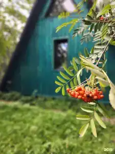 О`Лень - 29