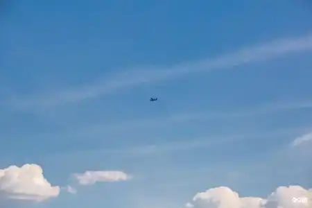 Волшебная заводь - 95