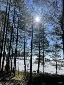 Луми - 54