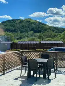 Красный кот - 35