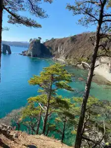 Красный кот - 13