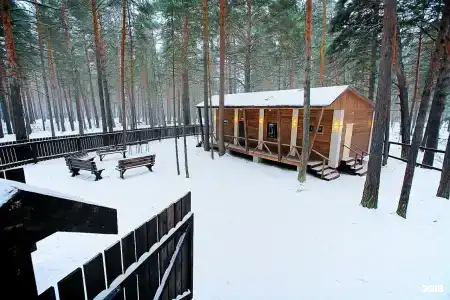 Сибиряк - 5