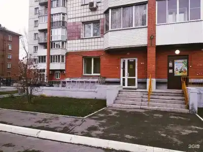 Темис - 2