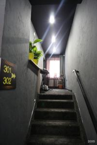 Black - 6