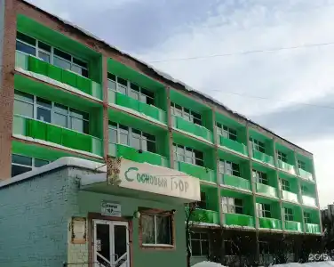 Сосновый Бор - 27