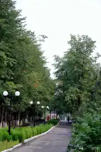 Ливадия-Татарстан - 50