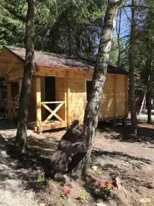 Лесовичок - 55
