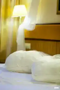 Брайтон - 149