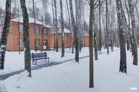Загородный клуб Айвенго Джунгли - 35
