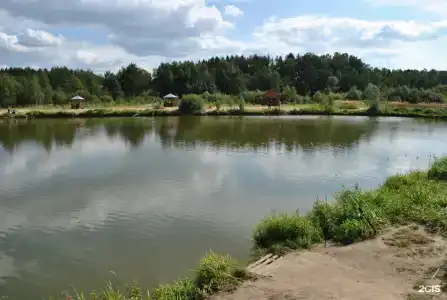 Литвиново - 41