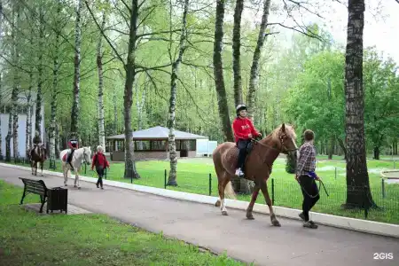 Клязьма - 61
