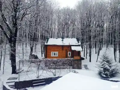 Поместье Медведевых - 23