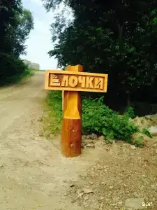 Елочки - 37