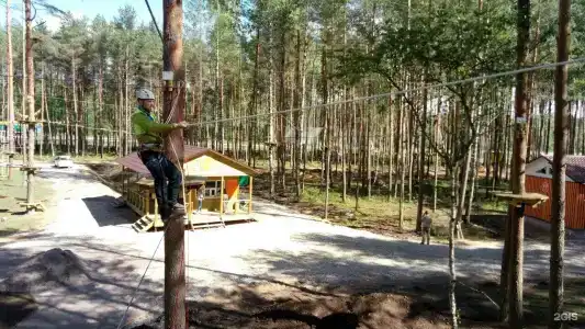 Раздолье - 104
