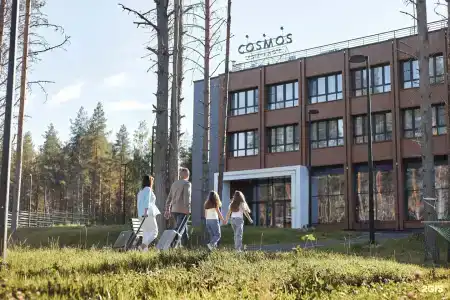 Cosmos Segezha - 15