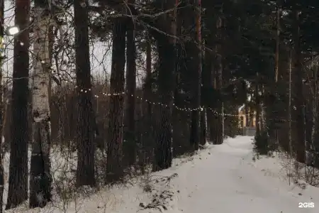 Аракуль - 106