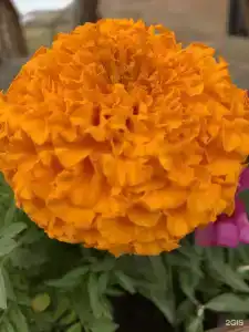 Мелодия Ольхона - 52