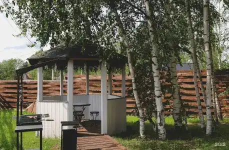 Берёзовая роща - 152
